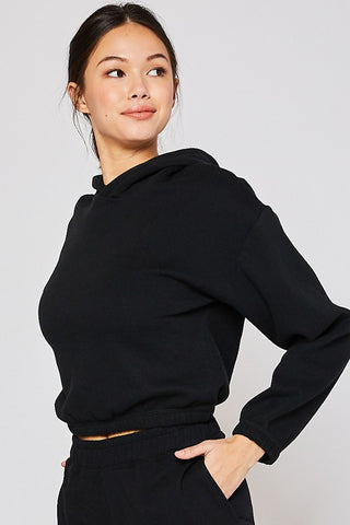 Wren Pullover Cropped Hoodie